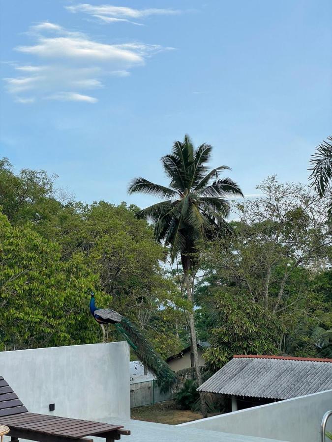 Finch Tangalle Exterior photo